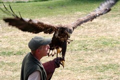 Killikus&reg; Fotographie